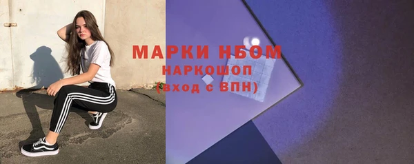 стафф Алексин