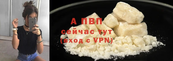 стафф Алексин