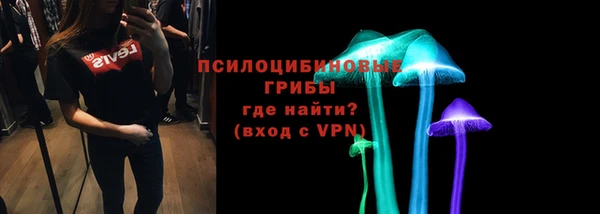 стафф Алексин