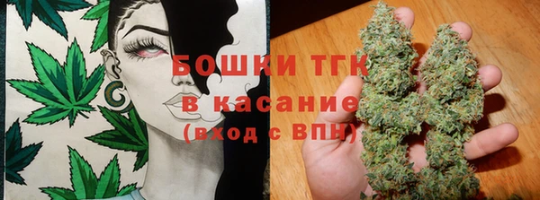 ГАЛЛЮЦИНОГЕННЫЕ ГРИБЫ Алзамай